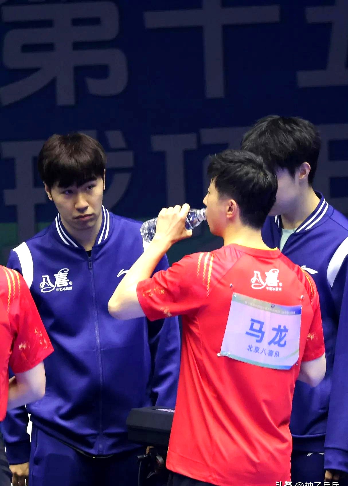 瑞典队完胜日本队，马龙点燃赛场