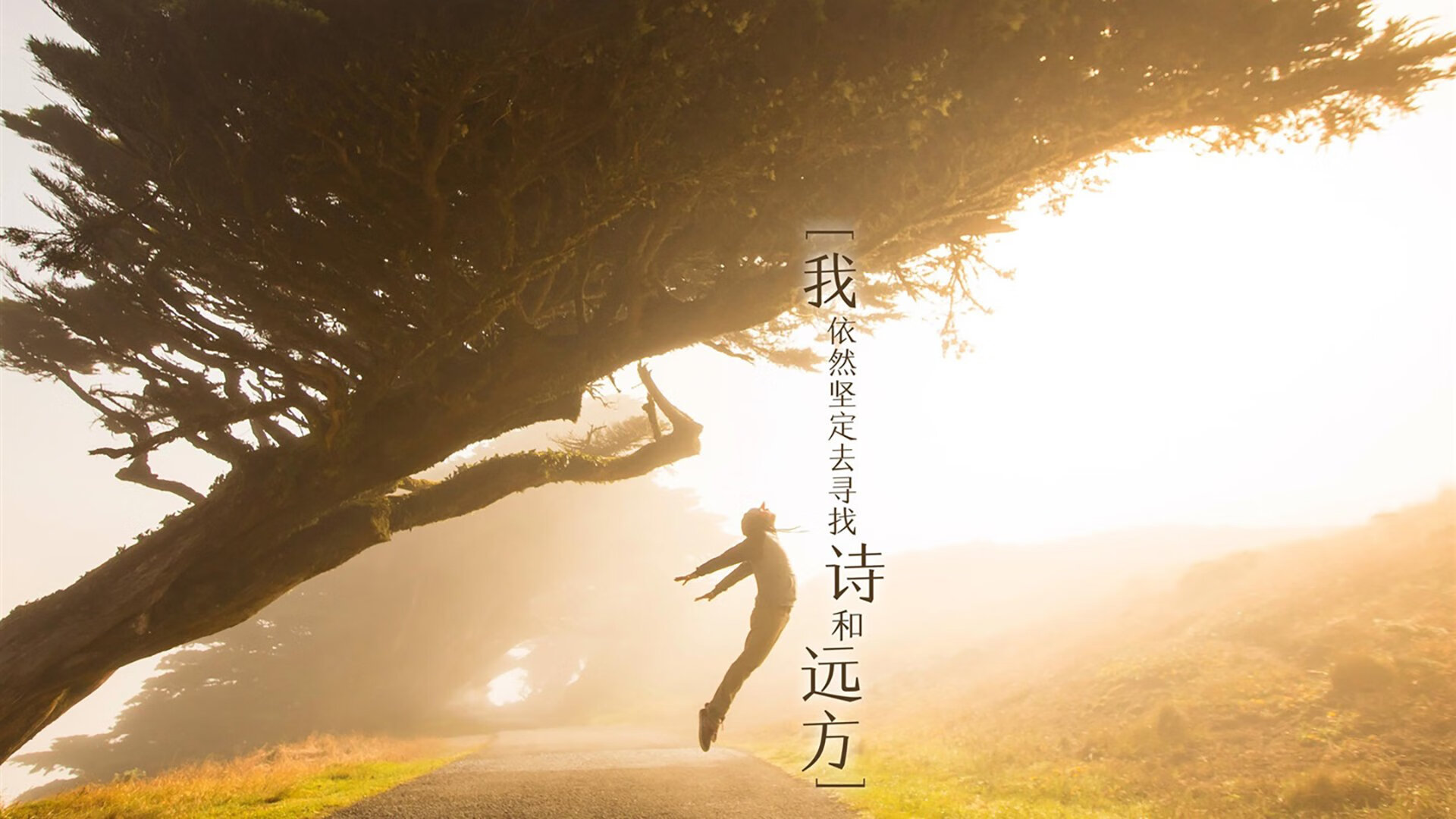 绿茵场的闪电与球台的磐石，竞技场上的双面旗帜