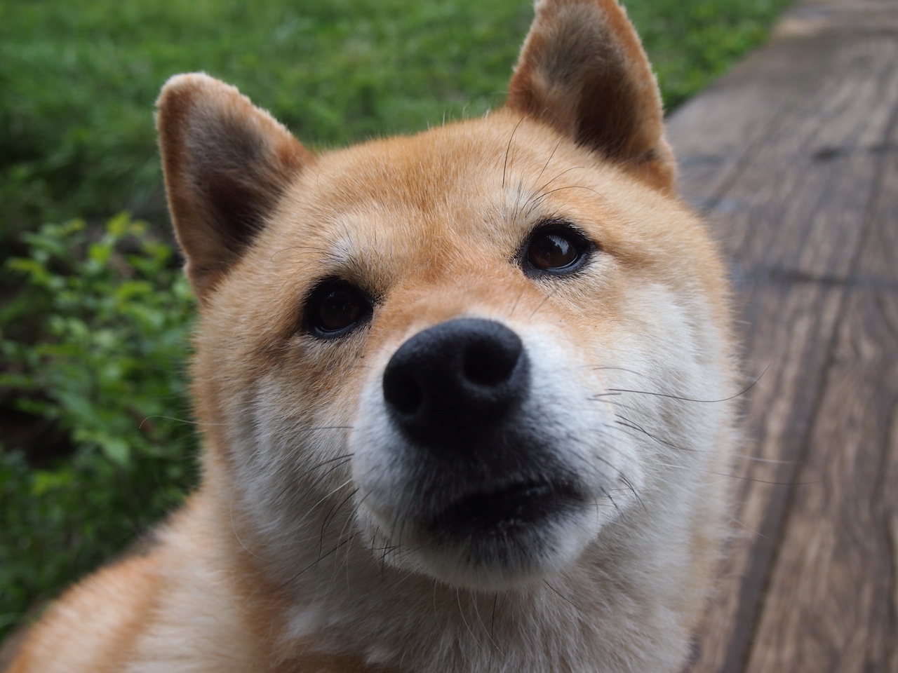 封锁魔术师，继承大心脏，伦纳德如何以钢铁意志在新时代续写关键战传奇