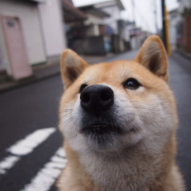 国际友谊赛爆冷,山西队主场稳稳拿下骑士,切特关键回合显神威