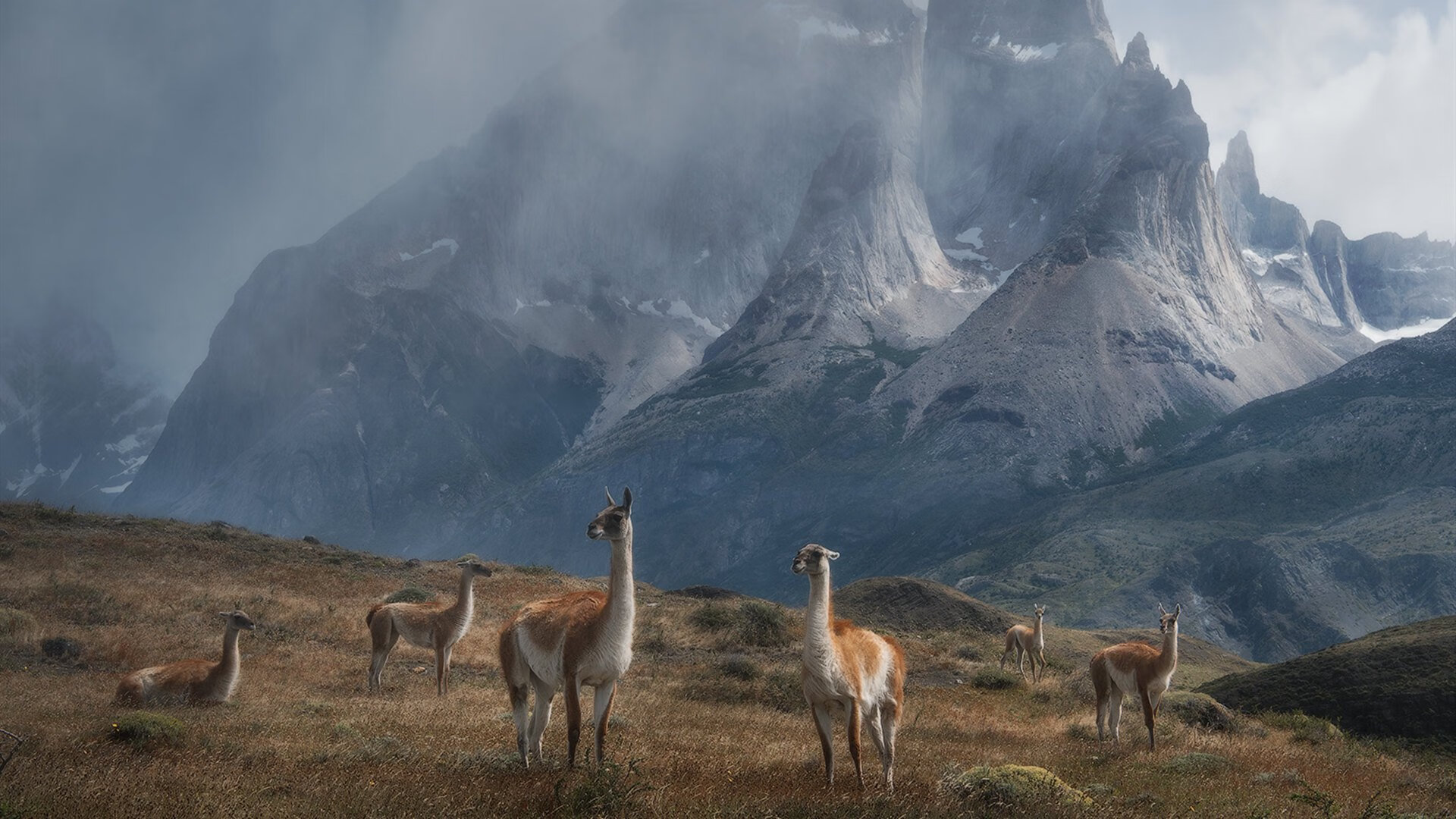 莫兰特表现堪称教科书，浙江队火力压制独行侠背后的现代篮球启示