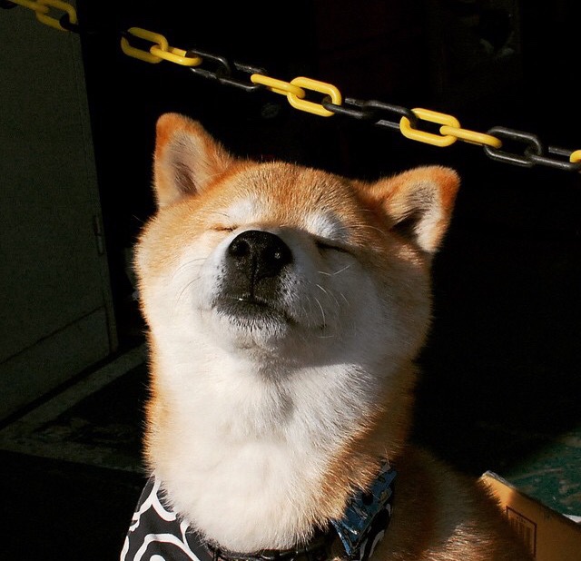 当旧王的光辉遇见新神的崛起,京多安的魔法与塞内加尔的胜利