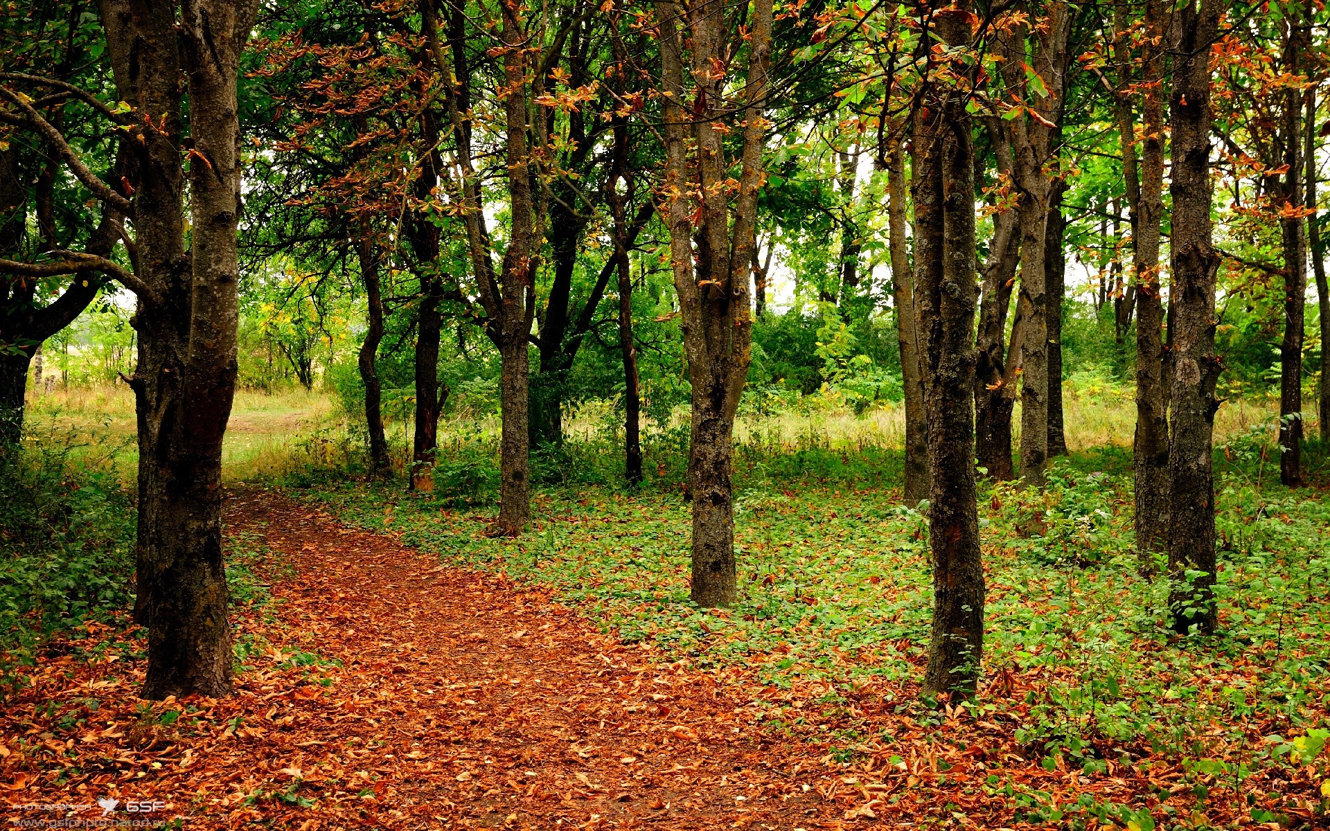 十字路口酒吧，当轮胎焦烟遇见篮板轰鸣