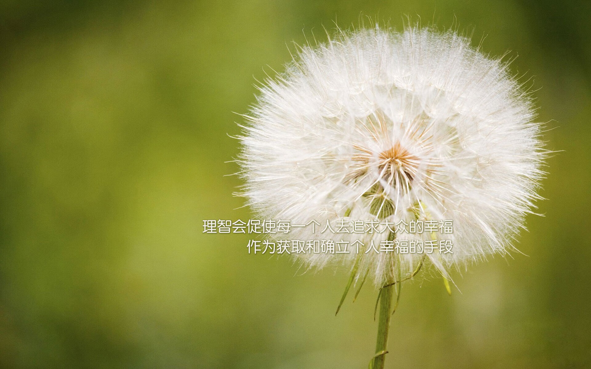 绝杀时刻，当NBA季后赛的窒息感与足球场的压哨奇迹相遇