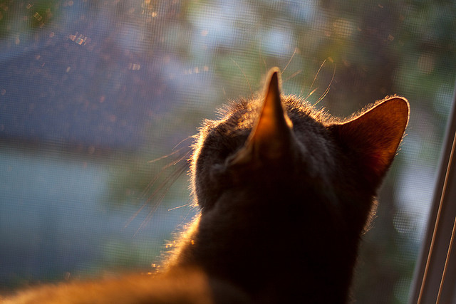 库里最后时刻接管比赛!篮网疯狂火力撕裂太阳防线
