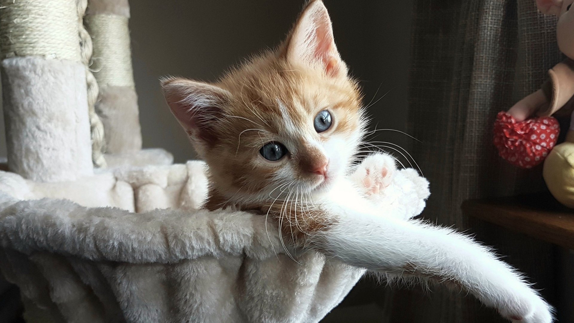 双重绝杀,当西甲国家德比与勒沃库森奇迹在同一夜晚绽放