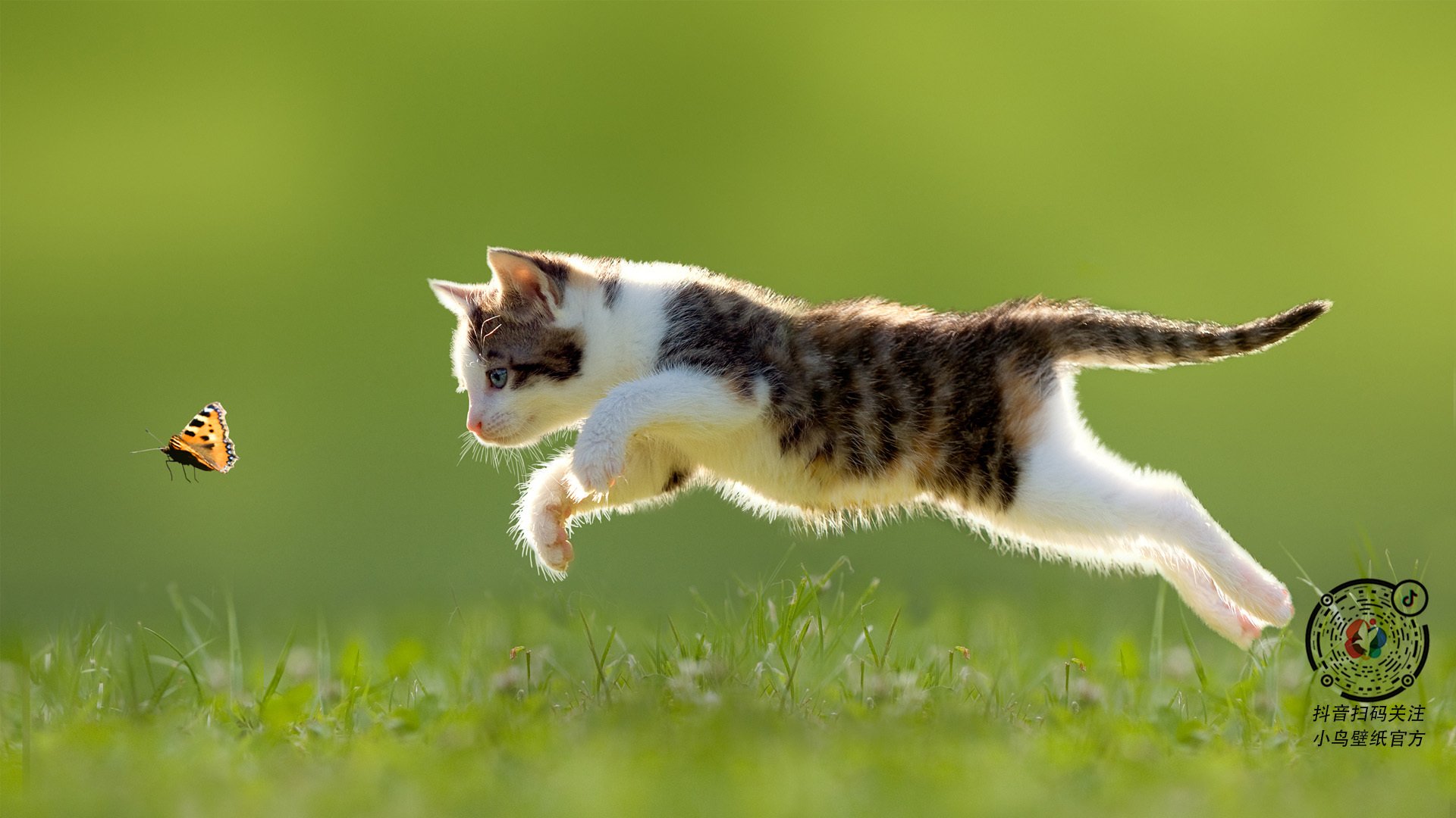 沉默中爆发的武切维奇，与喧嚣中碾压的雄鹿