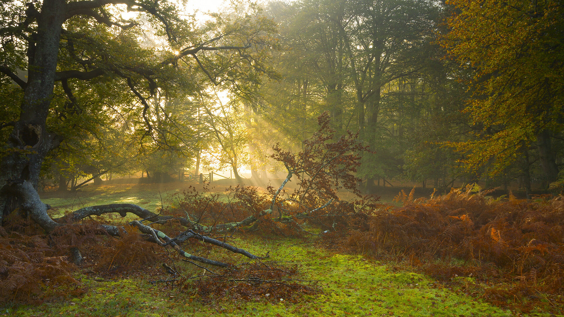 爱德华兹44分撕破雷霆防线的个人英雄主义如何赢下与未来之争的？