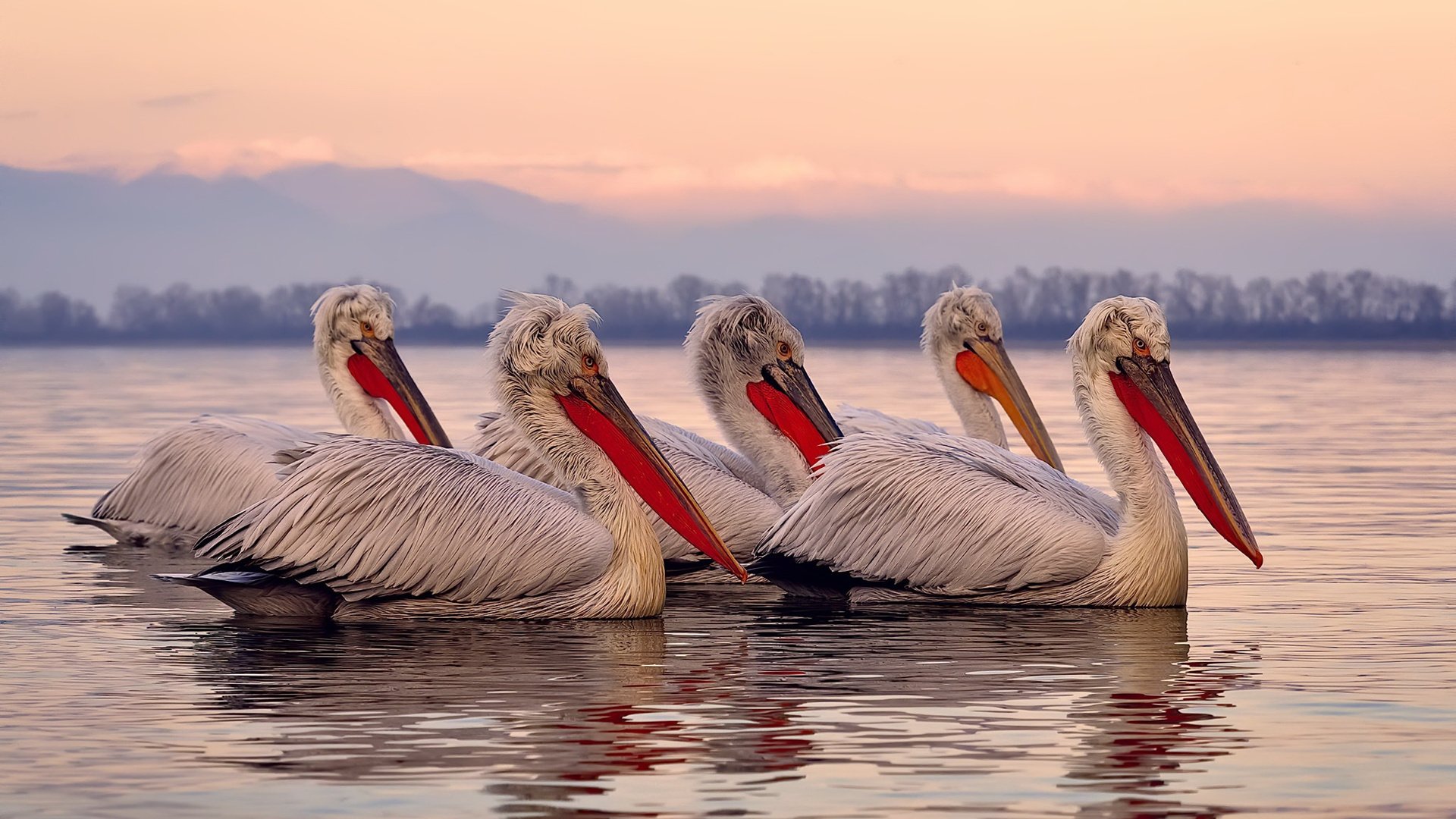 爱游戏在线-绝杀的偶然与接管的必然，篮球宇宙的永恒辩题