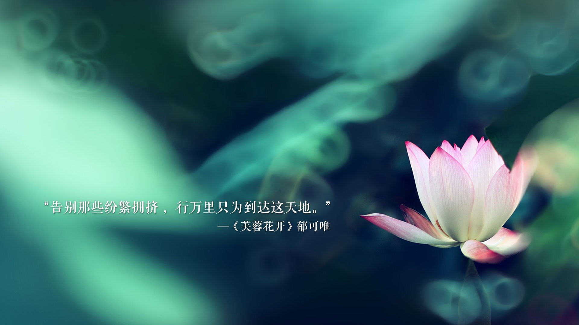 血色蓝白,2026世界杯的复仇之战—阿根廷战术降维打击,孙兴慜独木难支燃尽赛场