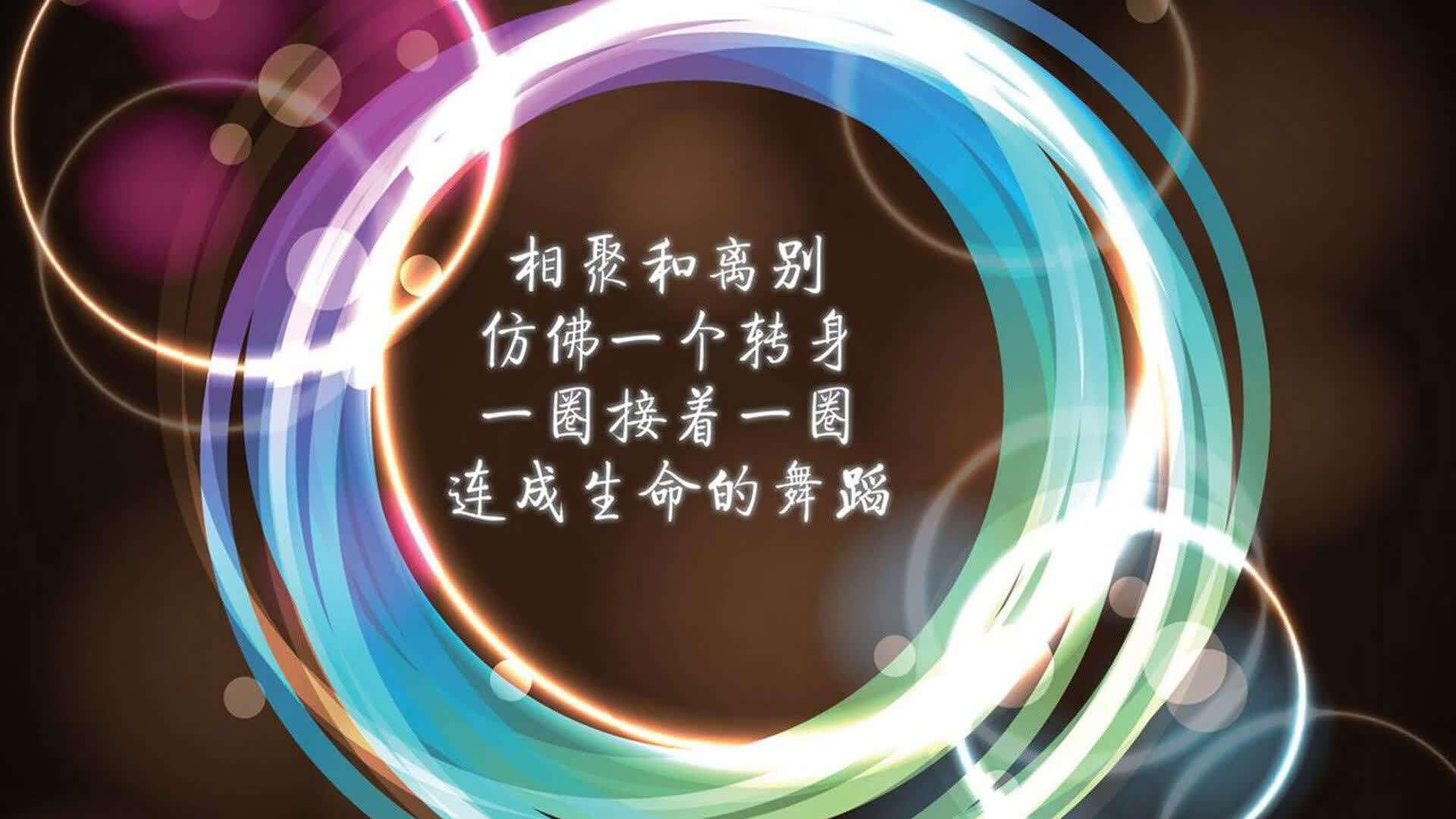 绿茵孤注,2026世界杯H组,巴西对阵斯洛伐克,登贝莱的战术异变与唯一胜利