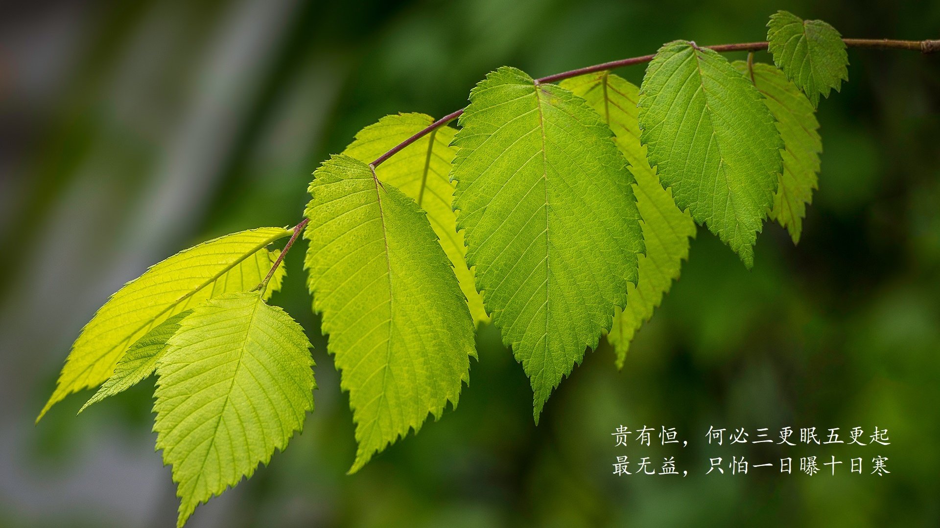 爱游戏APP-2026秘鲁绝杀之夜，B费点亮进攻狂潮，生死战改写世界杯格局