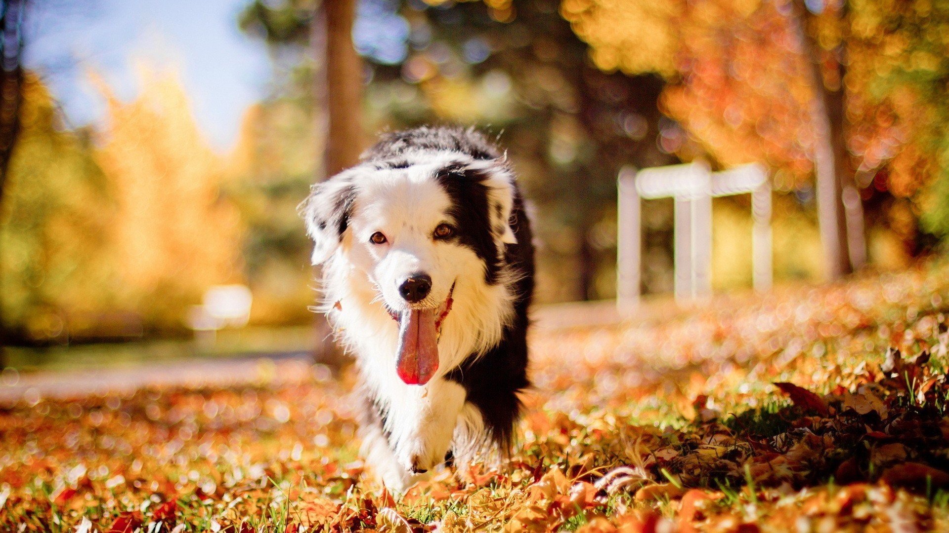 爱游戏官方入口-构思（扩展思维）