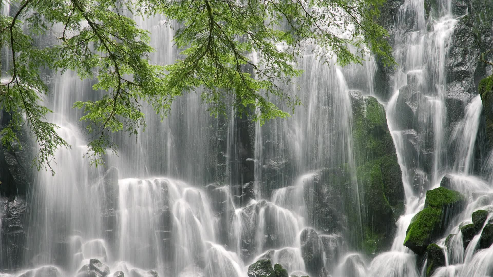 独舞的桑巴，2026世界杯H组，迪亚斯如何让巴西在压制伊朗中定义唯一性